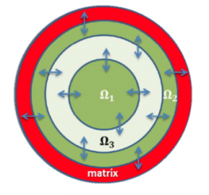 Radially symmetric model.