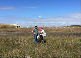  LSU ecology collaborators at the field site